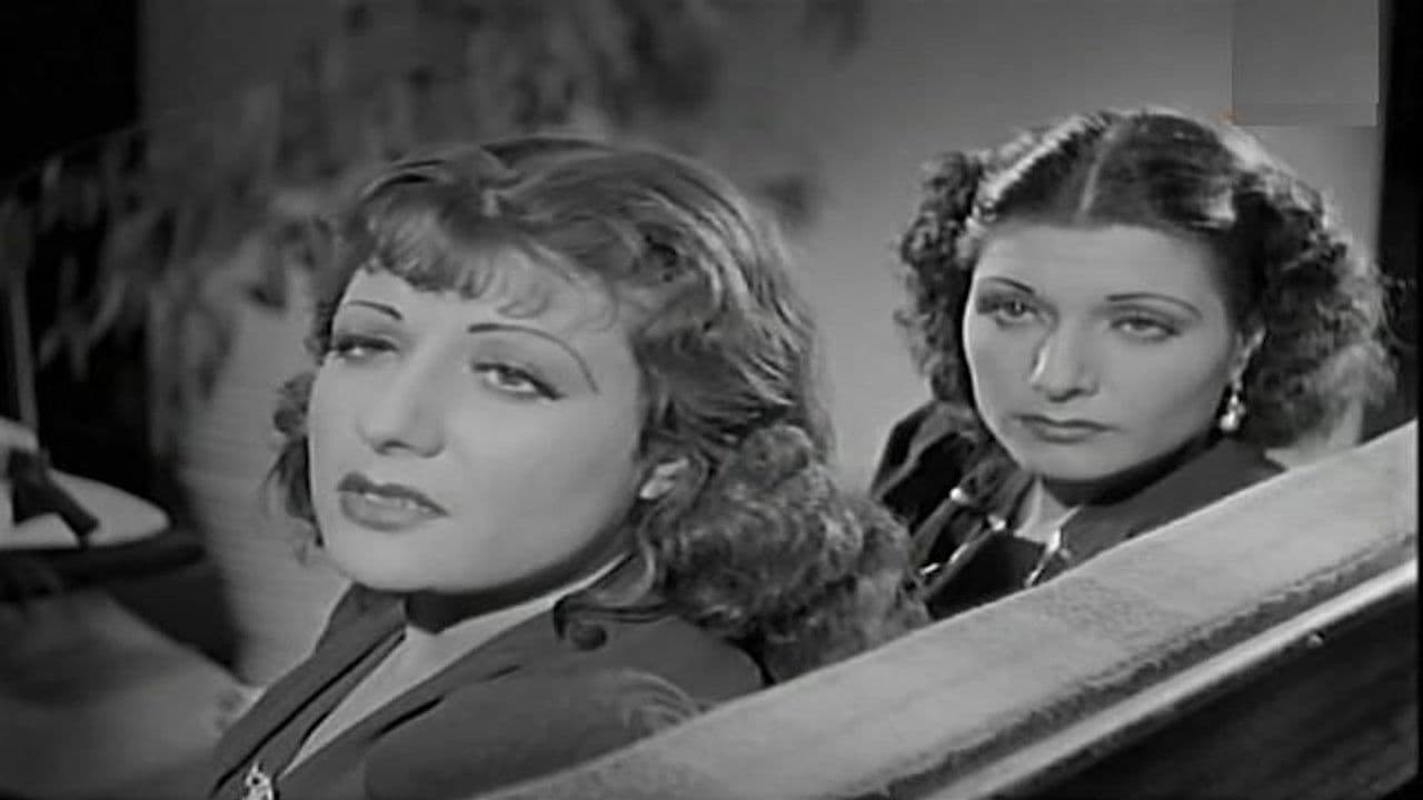 Backdrop – الباشمقاول