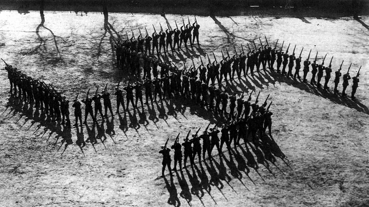 Backdrop – Schwarze Sonne - Mythologische Hintergründe des Nationalsozialismus