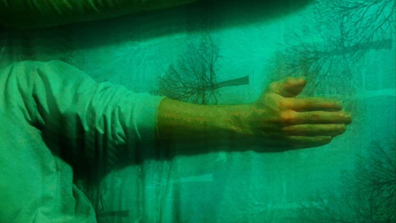 Backdrop – Günlər, Aylar, İllər və Başqa Heç Nə