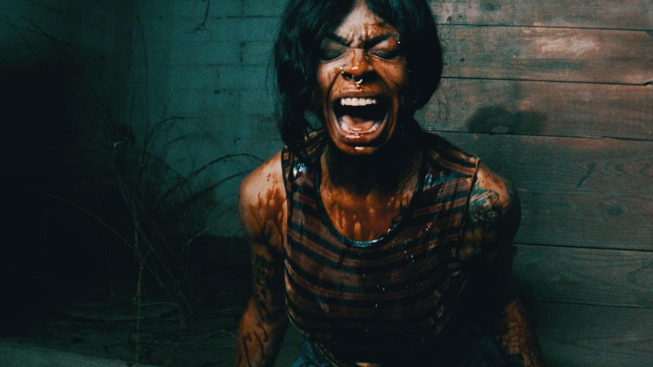 Backdrop – The Only Ones