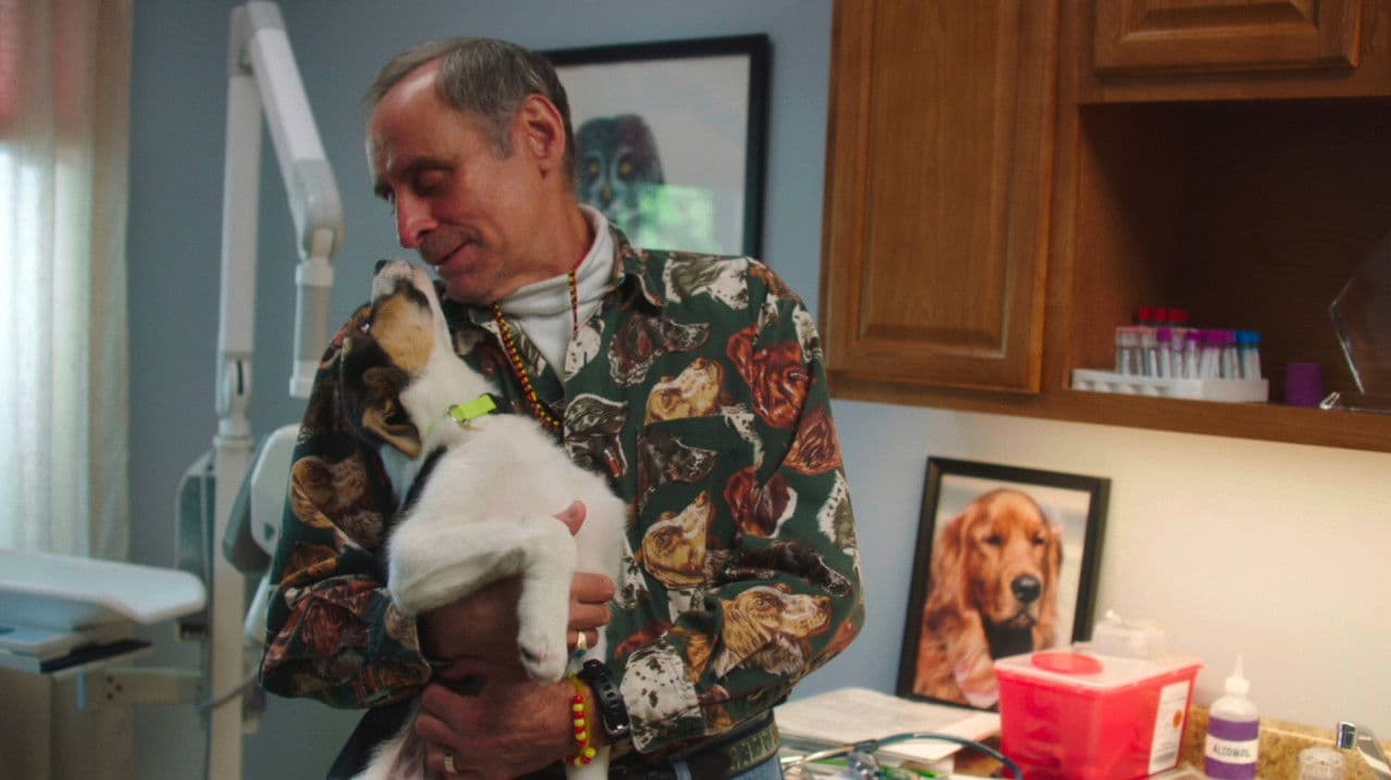 Backdrop – The Dog Doc