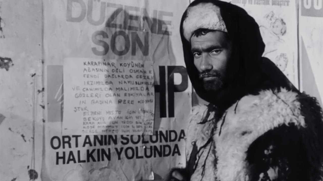 Backdrop – Aç Kurtlar