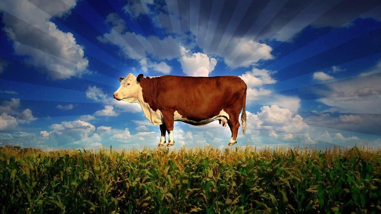 Backdrop – Food, Inc. - Was essen wir wirklich?