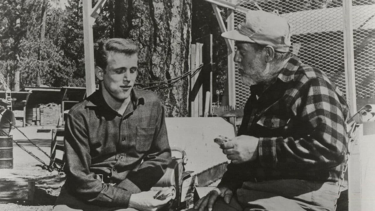 Backdrop – Freckles