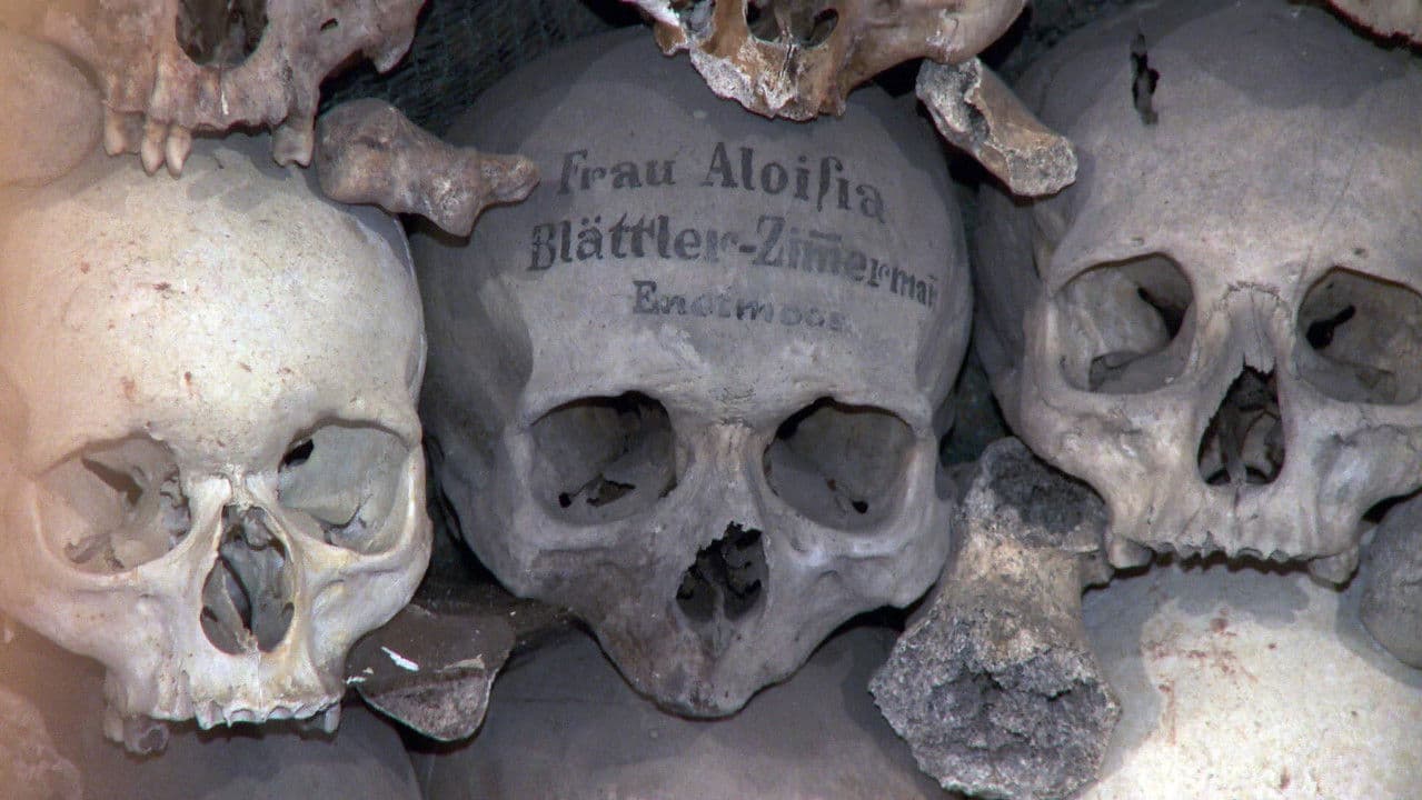 Backdrop – Arme Seelen