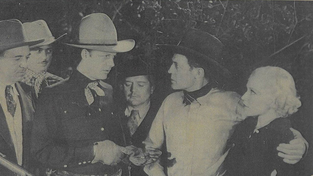 Backdrop – Too Much Beef