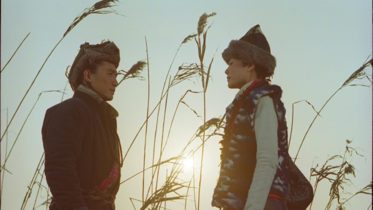 Backdrop – 天下無雙