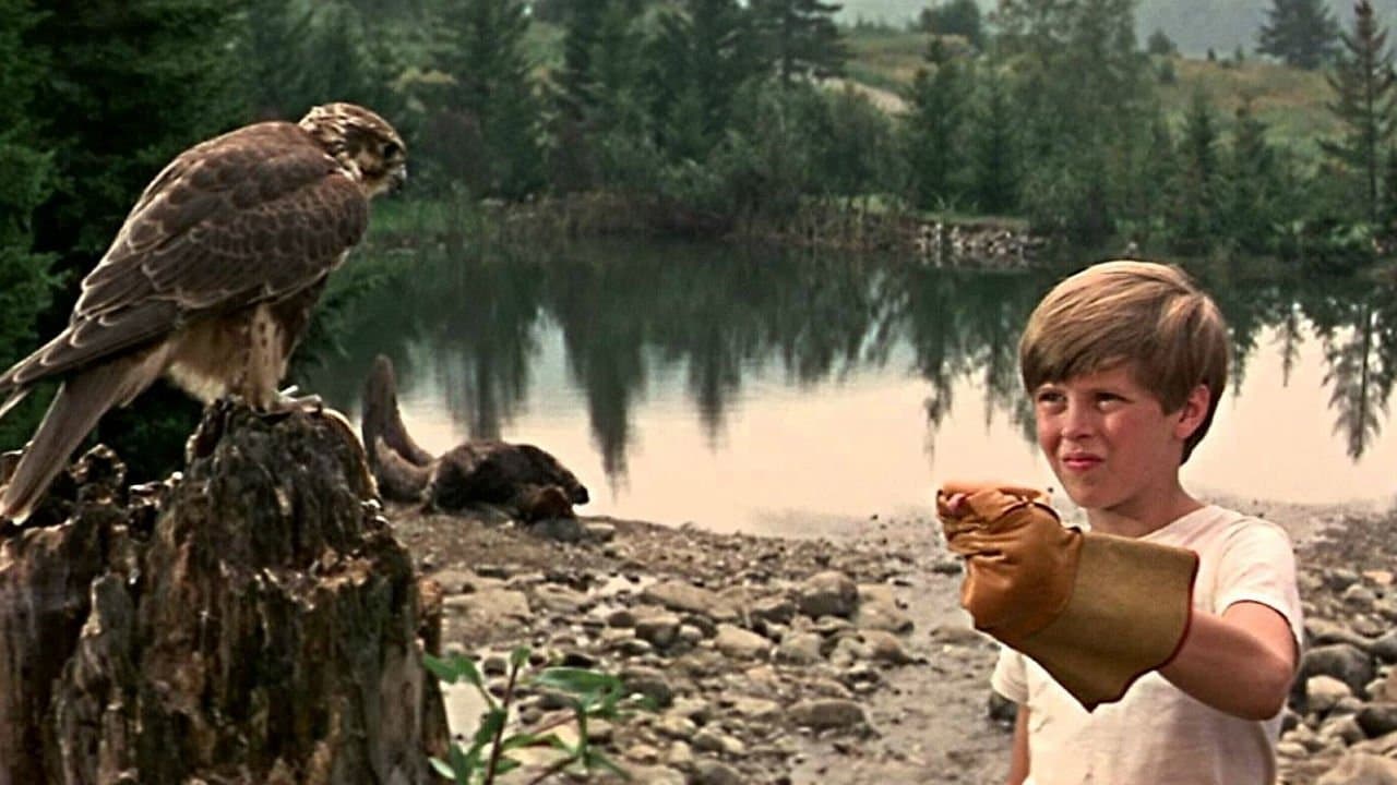 Backdrop – Ein Jahr als Robinson