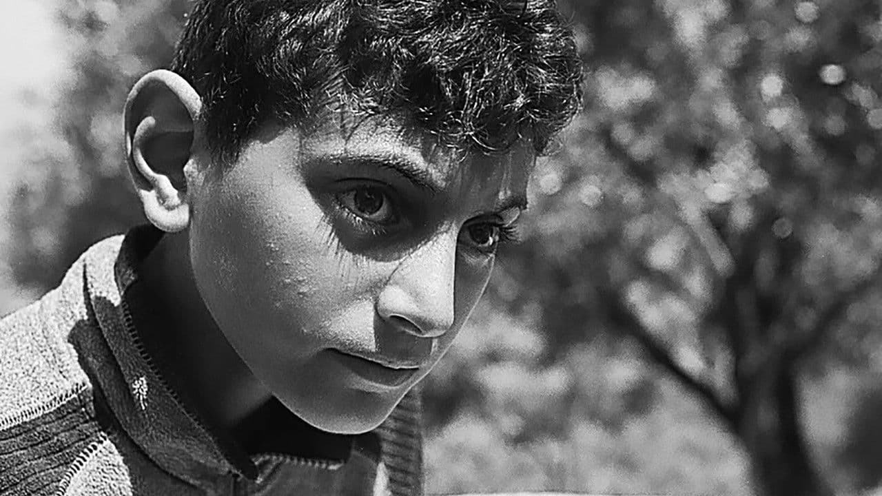 Backdrop – Todos vós sodes capitáns