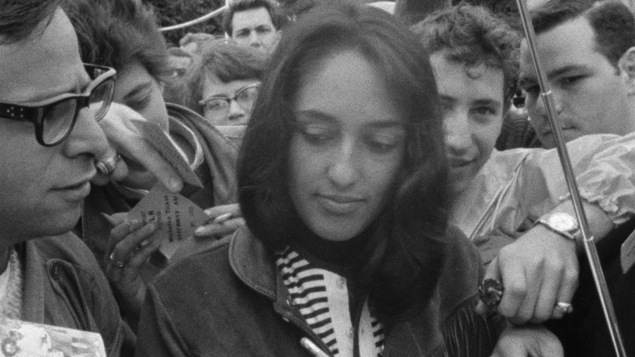 Backdrop – Festival