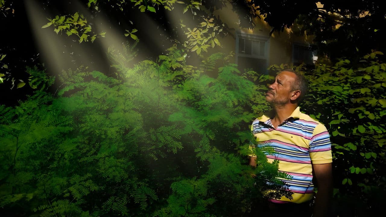 Backdrop – Fallen Angels