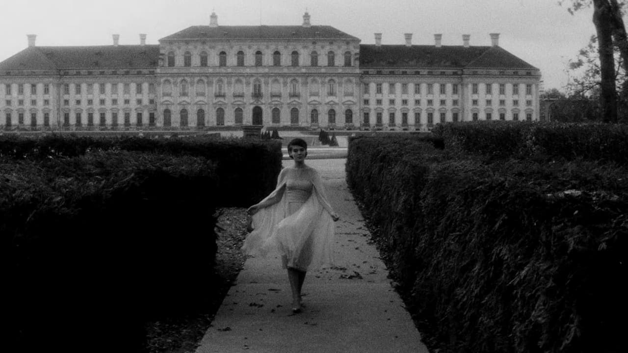 Backdrop – L'Année dernière à Dachau
