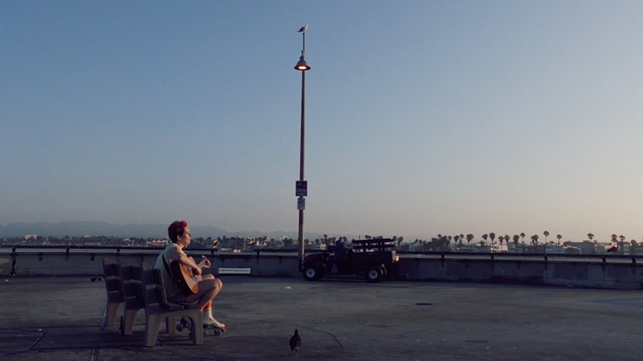 Backdrop – Summertime