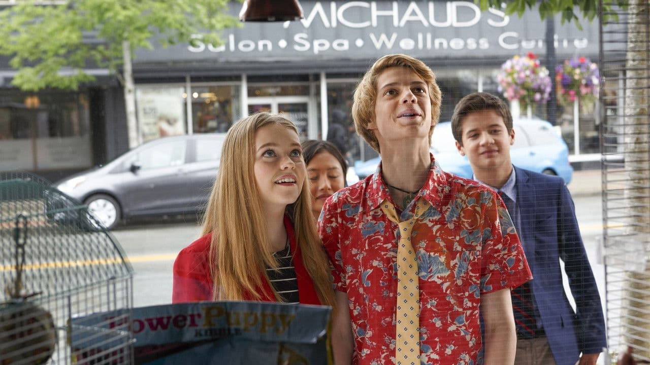 Backdrop – Rufus 2