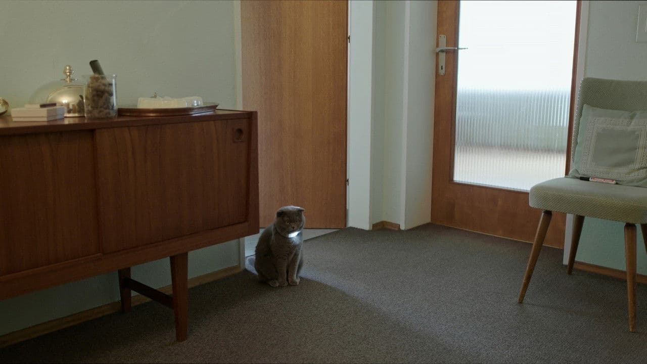 Backdrop – Nachts sind alle Katzen grau