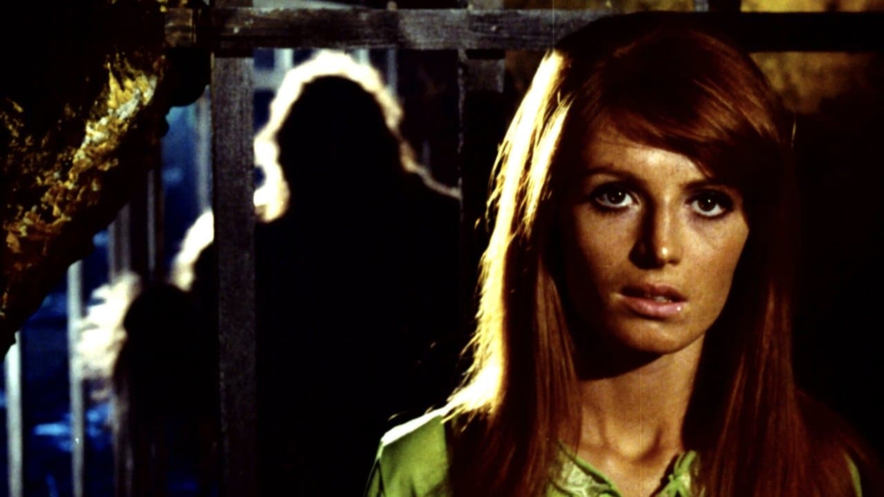 Backdrop – Nackt unter Affen