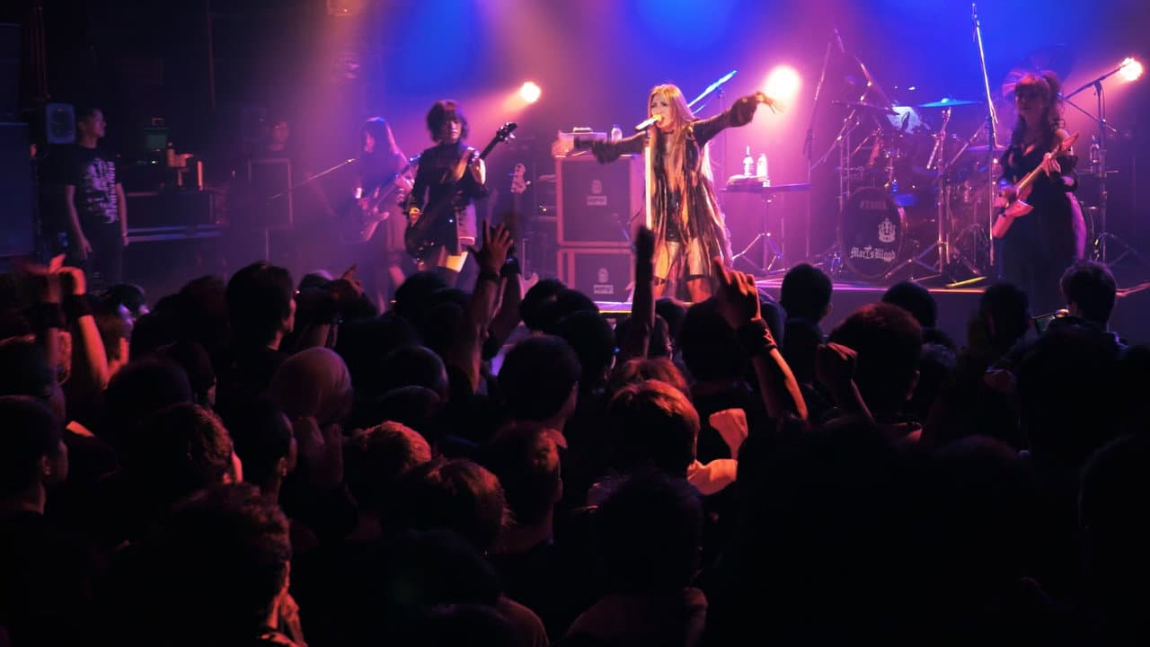 Backdrop – Mary's Blood MY XXXXX CONFESSiONS TOUR