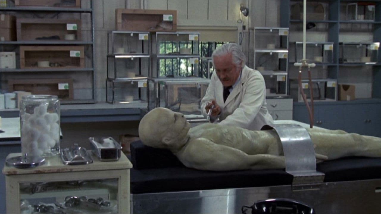 Backdrop – Sssssnake Kobra