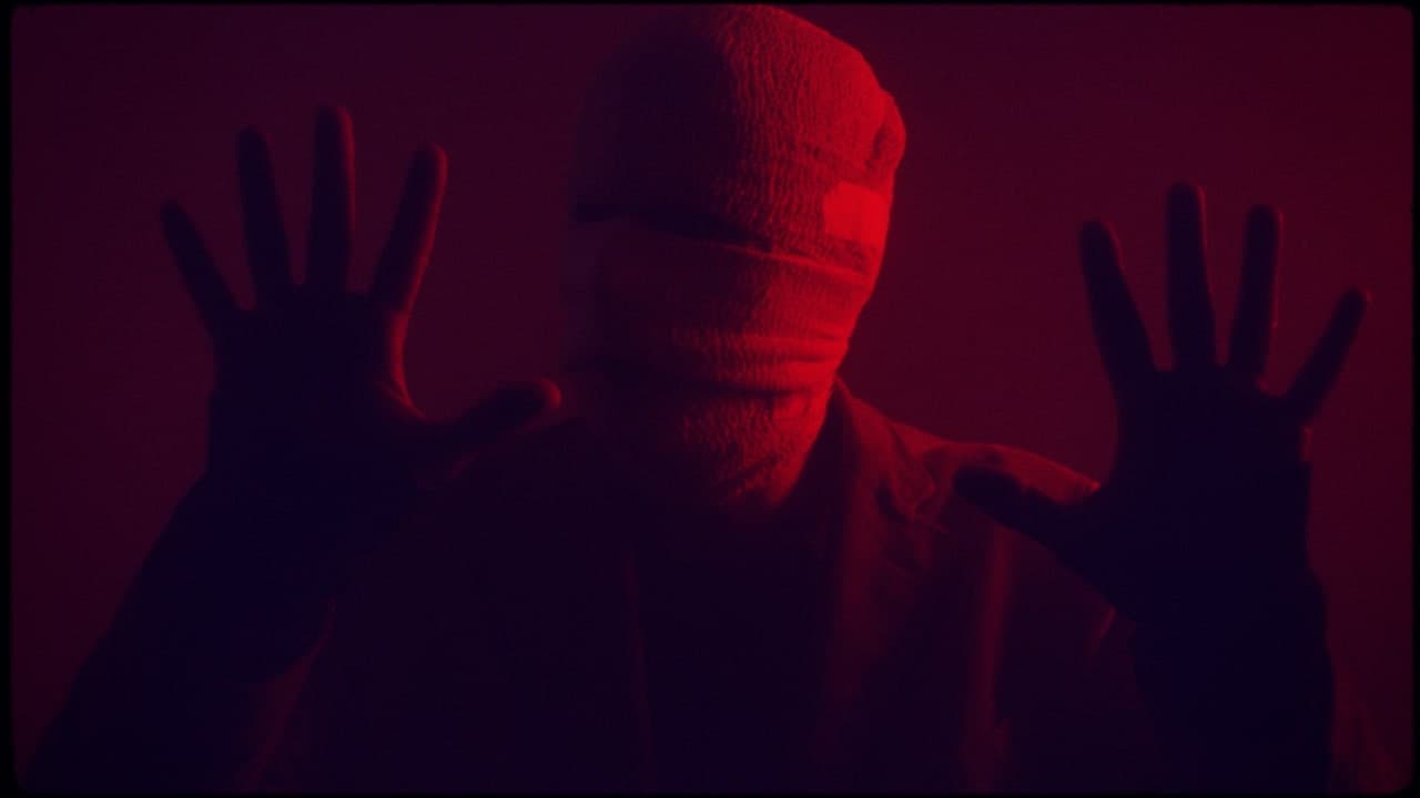 Backdrop – Tigre Místico