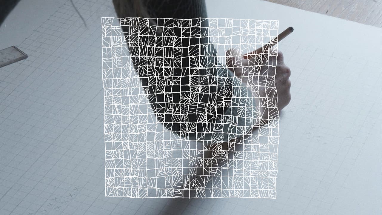 Backdrop – Vierkant Veldwerk