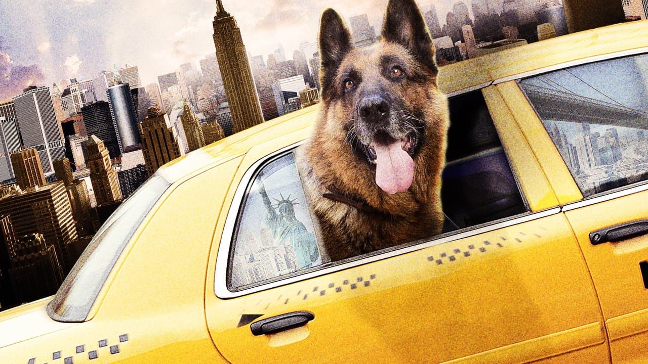 Backdrop – Tierisch Cool - Ein Hund in New York
