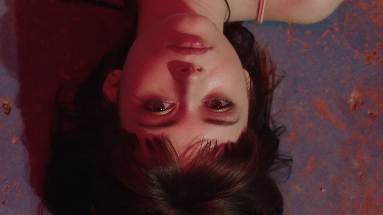 Backdrop – Tótem Loba