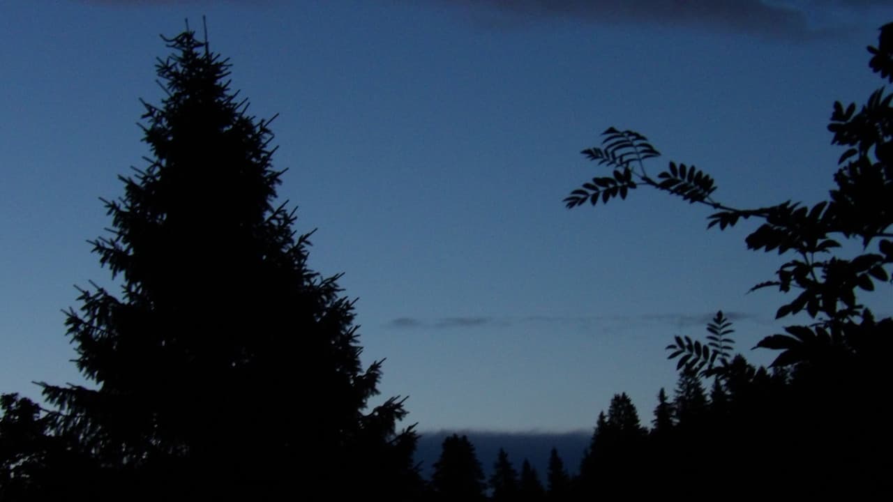 Backdrop – The Blue Hour