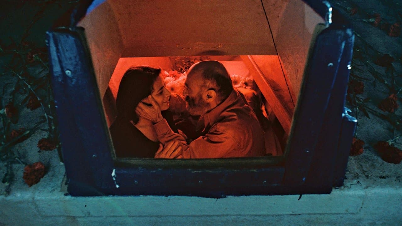 Backdrop – Gaza Mon Amour