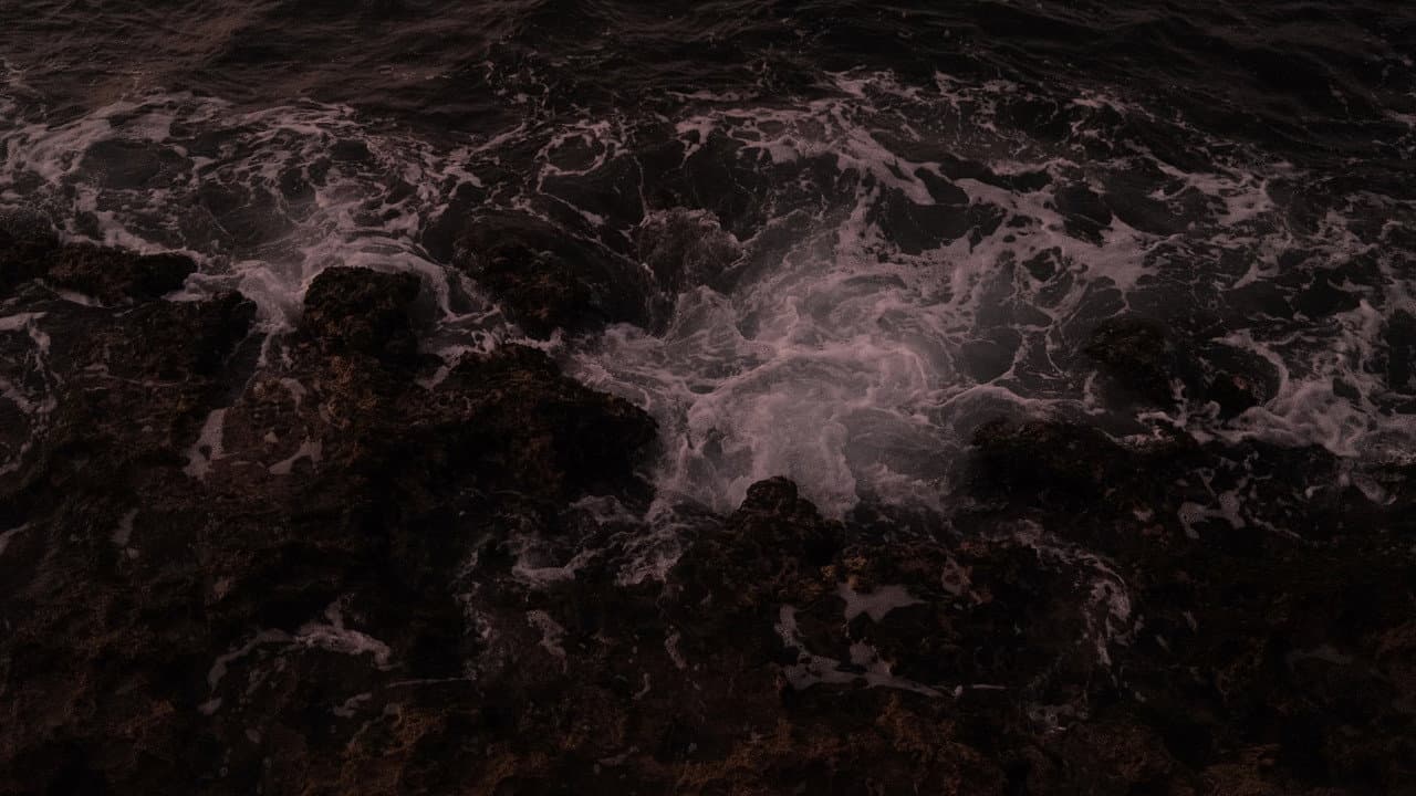 Backdrop – Station Hope