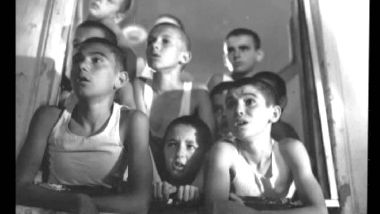 Backdrop – Rote Mohnblumen an den Wänden