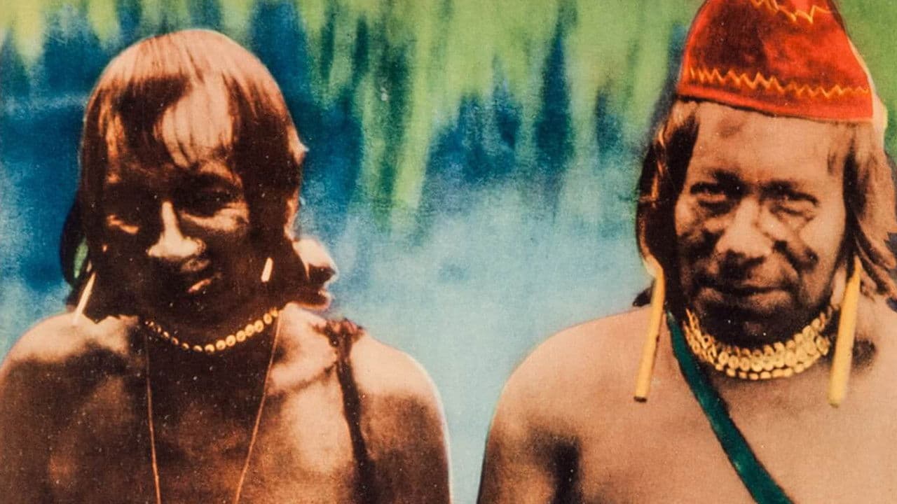 Backdrop – Au pays du scalp