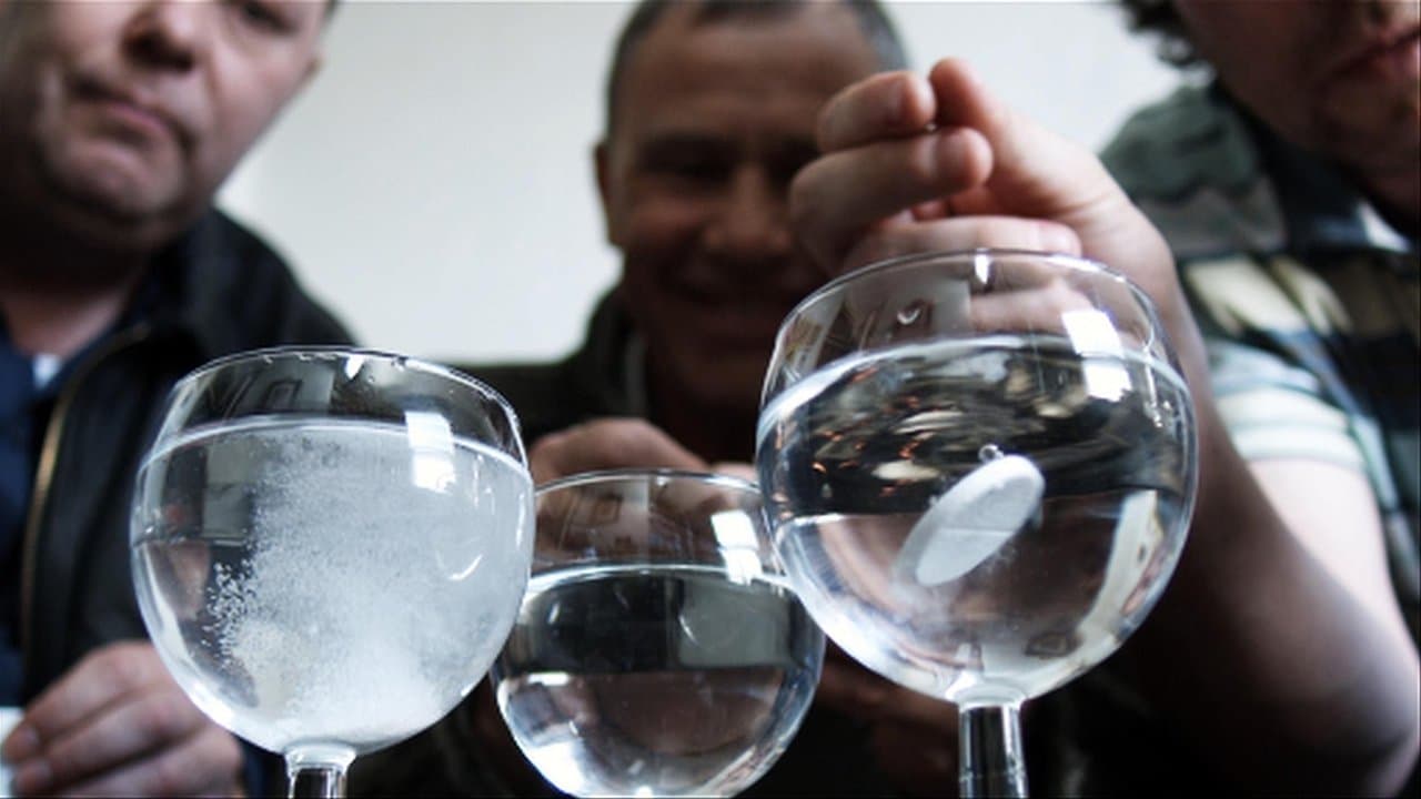 Backdrop – Down Terrace