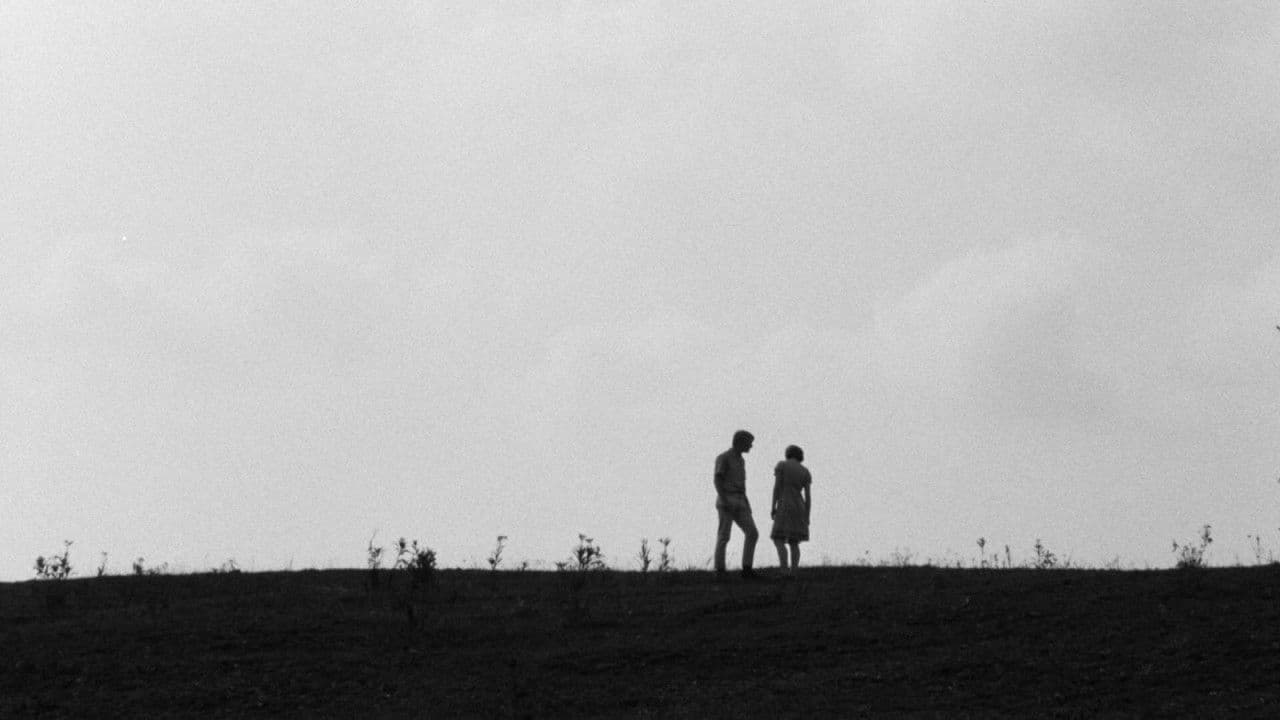 Backdrop – Spring Night, Summer Night