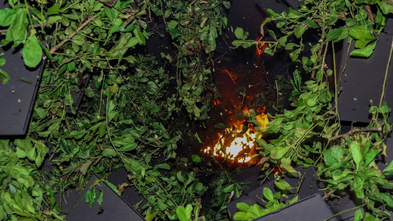 Backdrop – Primeira FEIMATE: Feira da Erva-Mate e Processo Produtivo da Erva-Mate - Historiando em Novo Barreiro