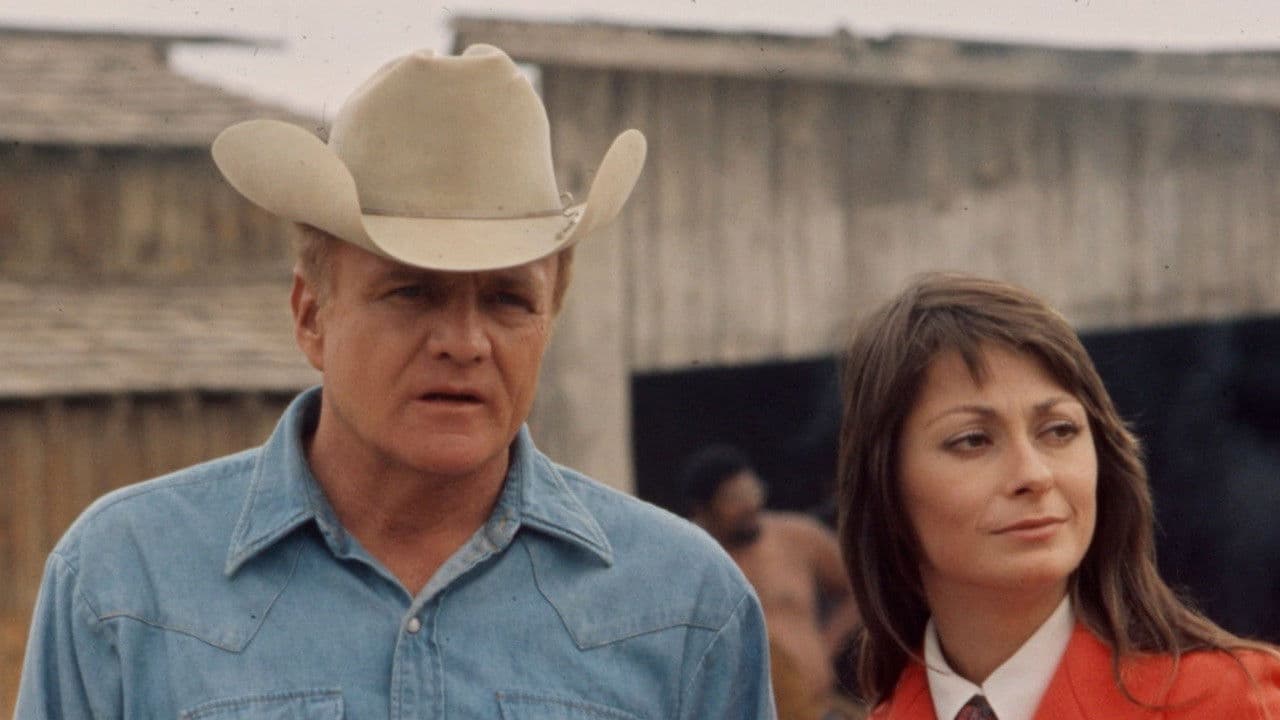 Backdrop – Second Chance