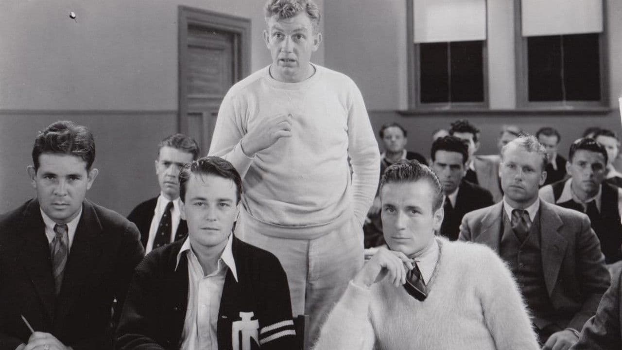 Backdrop – The Spirit of Notre Dame