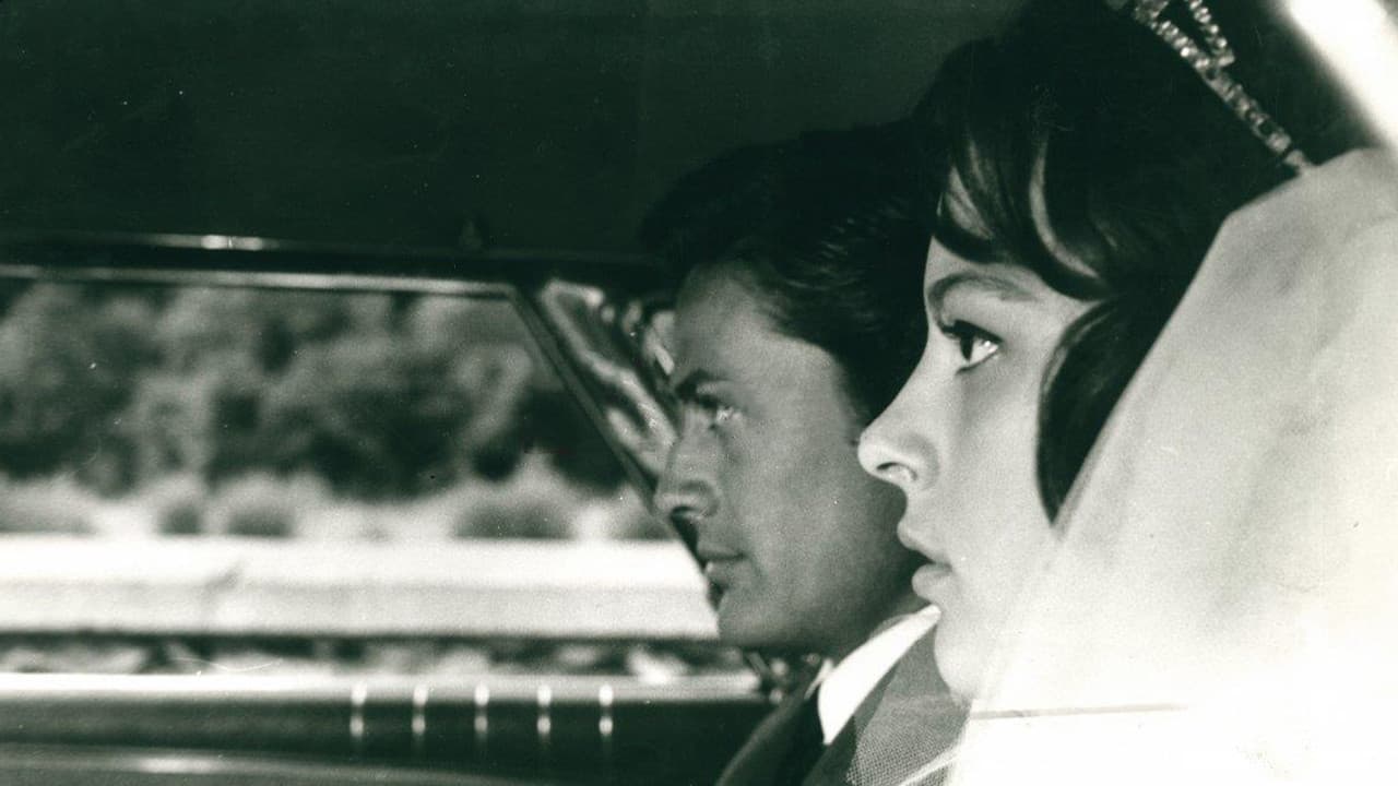 Backdrop – Aşk ve İntikam