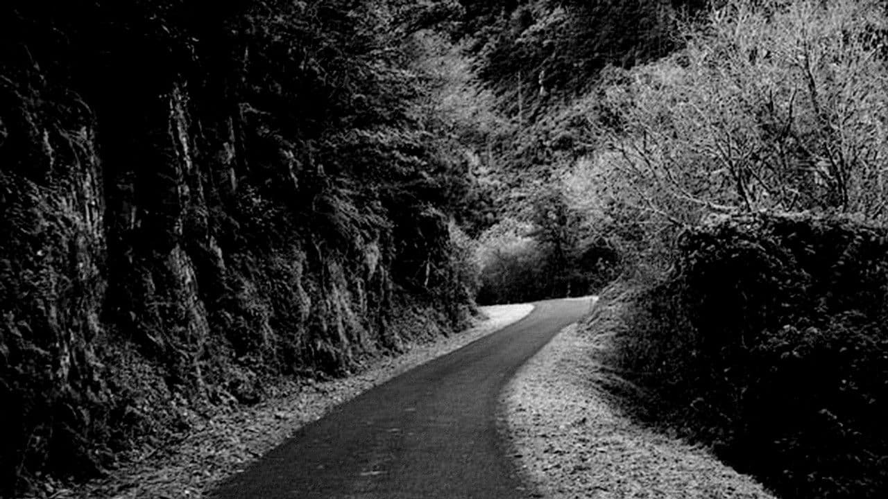 Backdrop – Eloxio da distancia