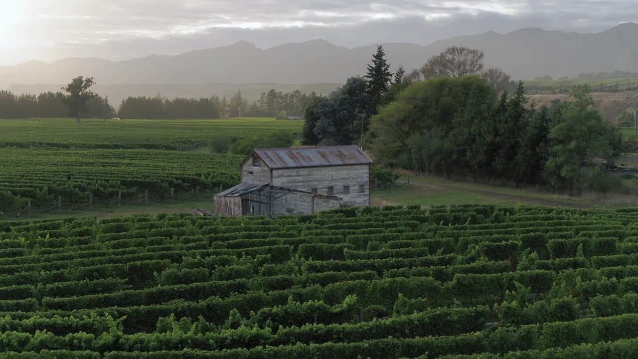 Backdrop – Vintage