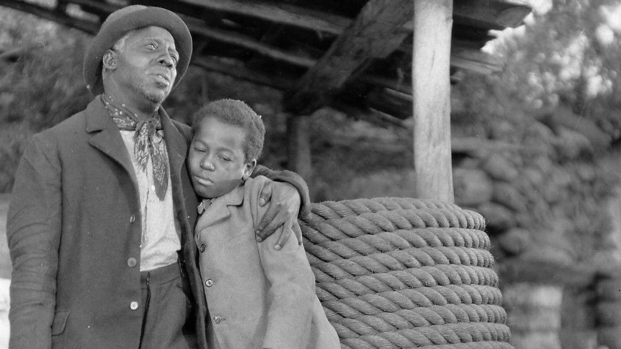 Backdrop – Hearts in Dixie