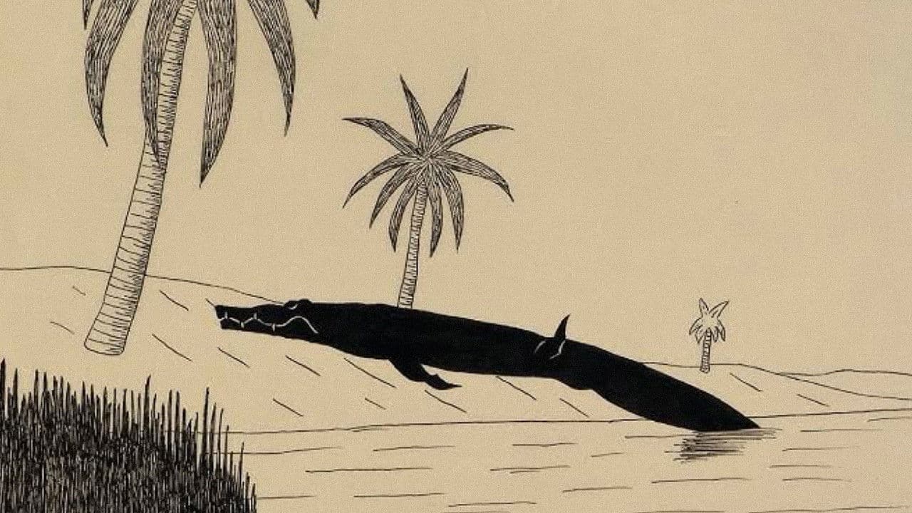 Backdrop – 年をとった鰐