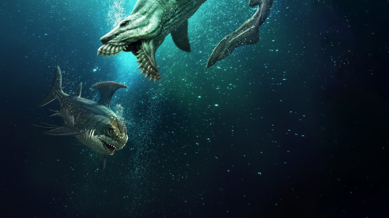 Backdrop – Jurassic Sharks