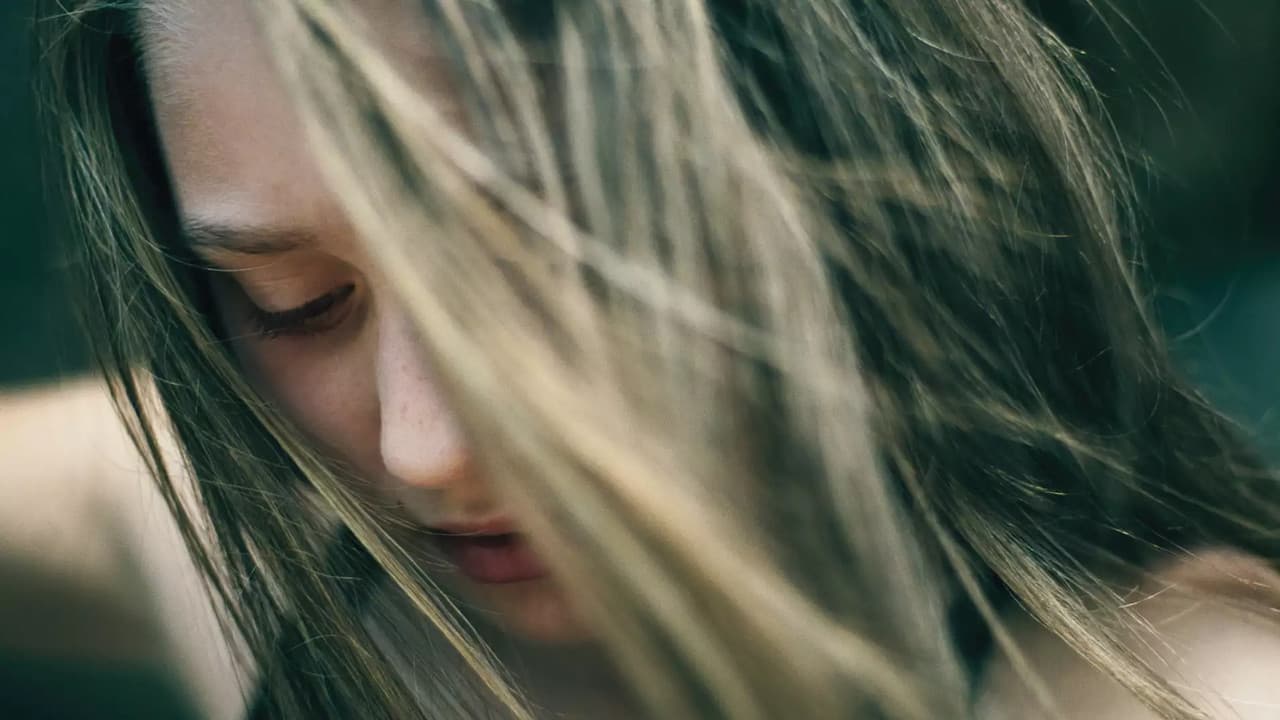 Backdrop – Piata lod'