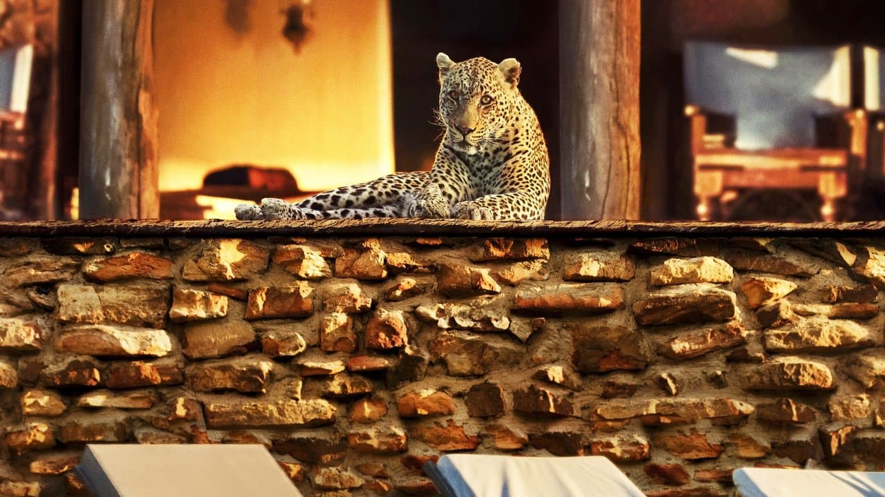 Backdrop – Das Jahr, das unsere Erde veränderte