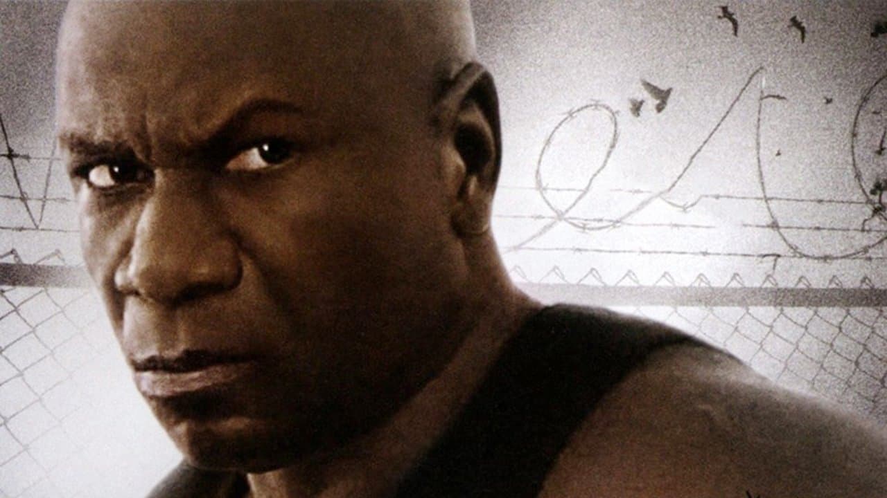 Backdrop – Animal - Gewalt hat einen Namen