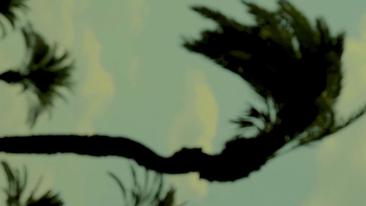 Backdrop – State of Matter