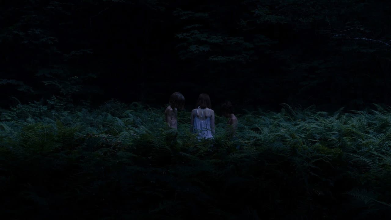 Backdrop – III