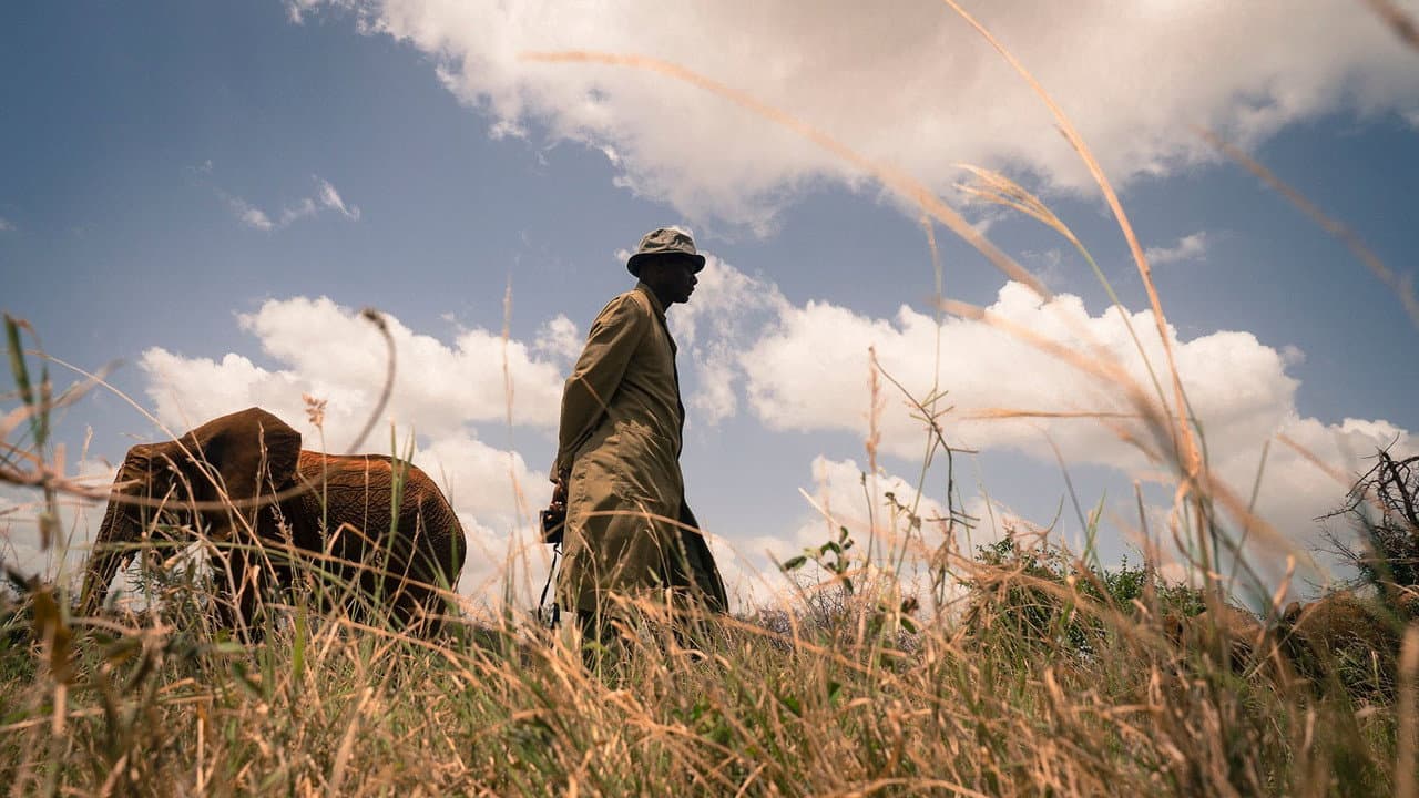 Backdrop – Gardeners of Eden