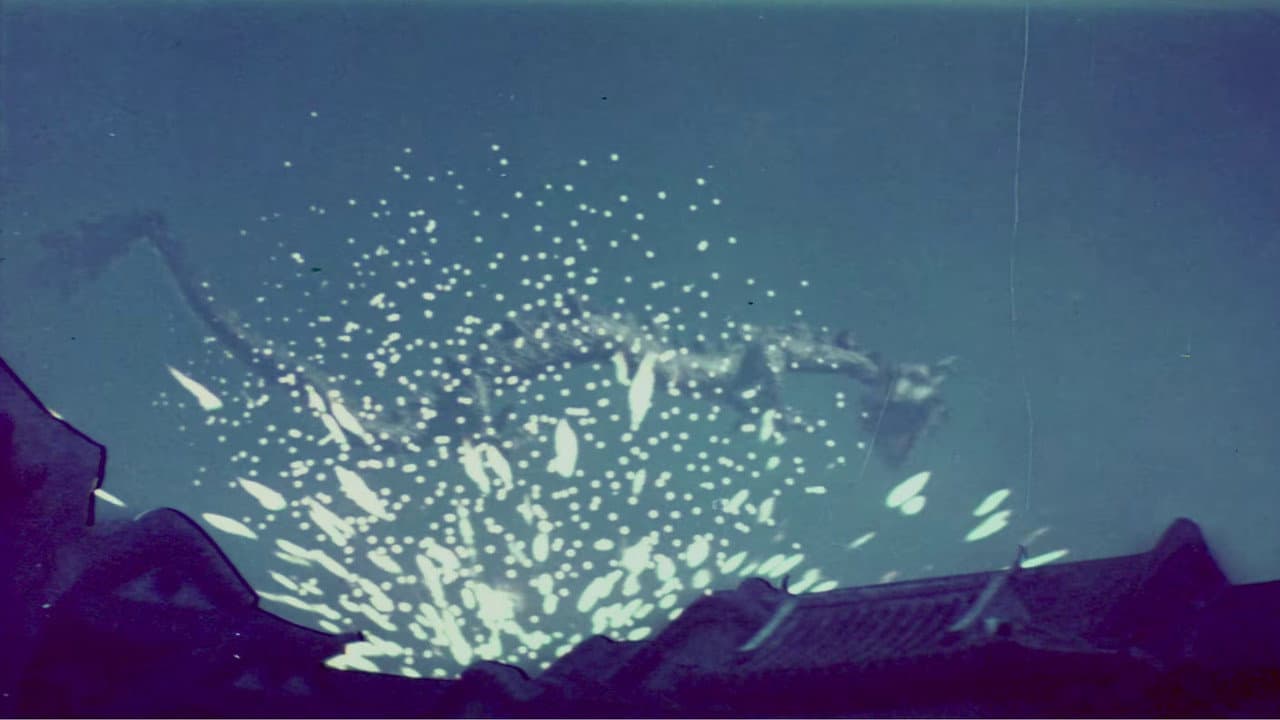 Backdrop – 觀世音與海龍王