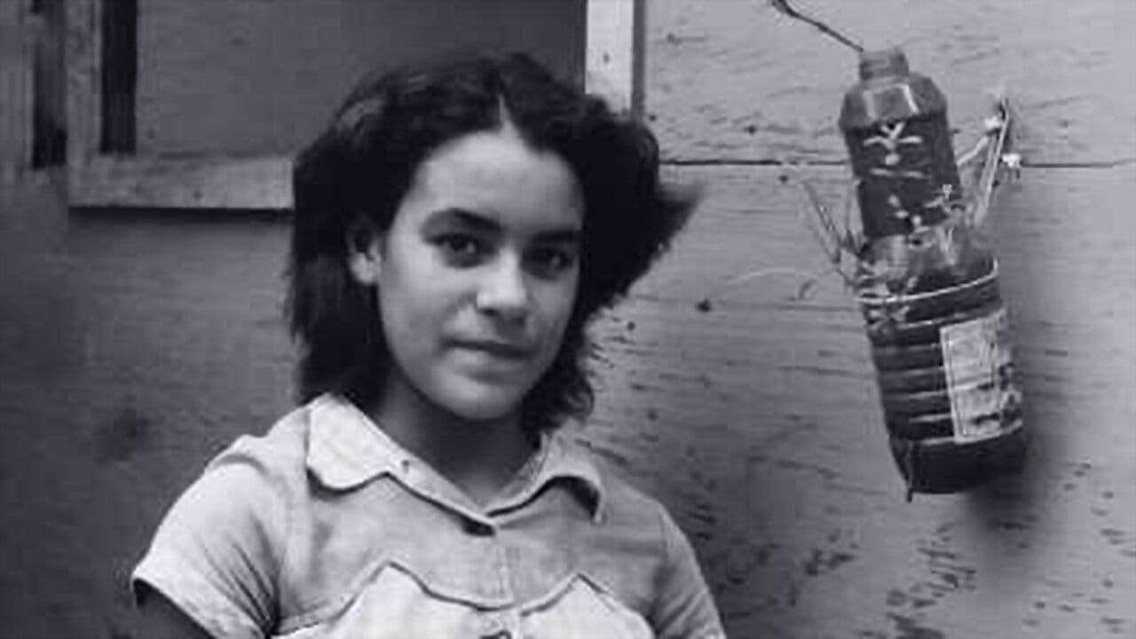 Backdrop – O Porto de Santos